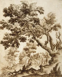 Landschap met Boom en Molen